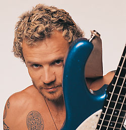 flea1.jpg