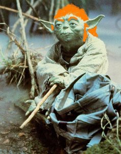 yoda.jpg