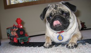 pug_caboose.JPG