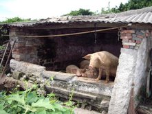 wendy fans get ready for the beamback.jpg