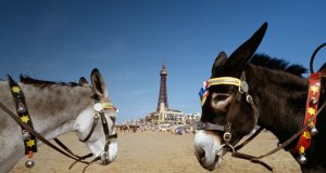 BlackpoolDonkeys_20120621.jpg