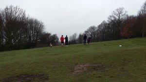 20150403_112913.jpg