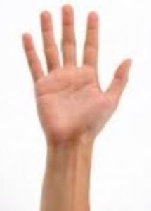 image.jpg