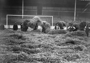Spurs1925image.jpg