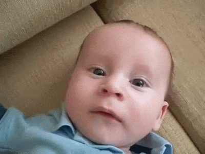 giphy-downsized-large[1].gif