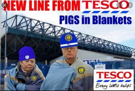 pigs1.JPG pigs1.JPG