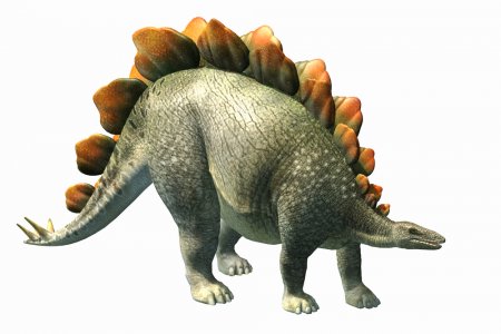 owYTb9X5fKpeBhgiaxD73b.jpg