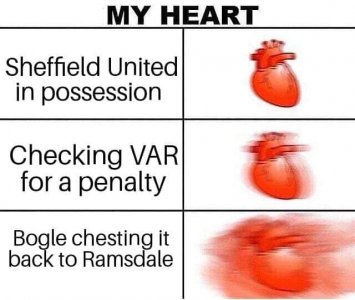 Heart Bogle.jpg