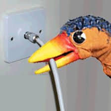 images.jpg