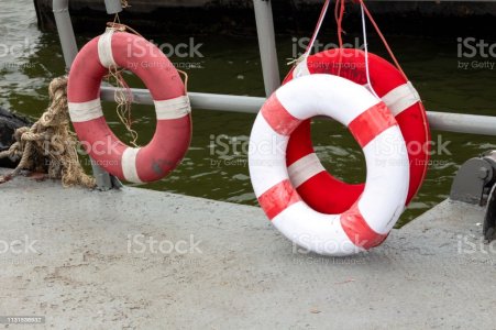 istockphoto-1131536932-1024x1024.jpg