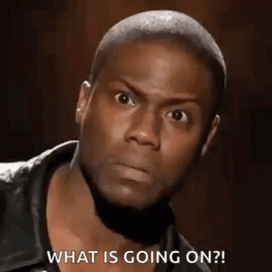 WTF2.gif