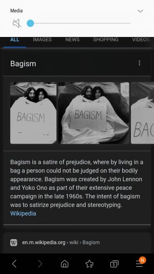 Screenshot_20210202-222214_Samsung Internet.jpg
