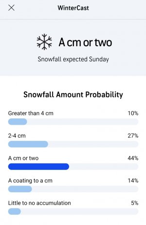 Screenshot_20210204-142049_AccuWeather.jpg