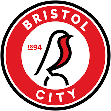 bristol city.png