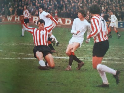 SunderlandPark.jpg