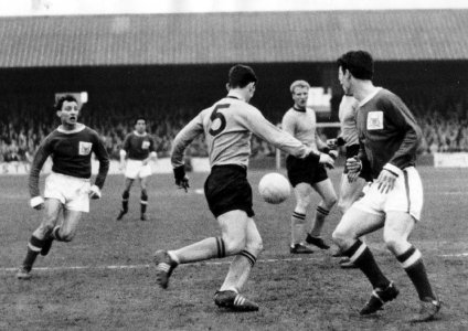 forest-v-wolves-63ish-3-copy.jpg