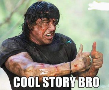 cool-story-bro-sylvester-stallone~2.jpg