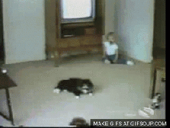 1615570341575.gif