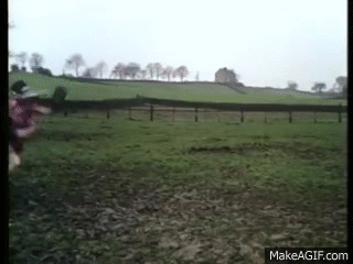 1615737387429.gif