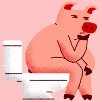 1616285639373.gif 1616285639373.gif