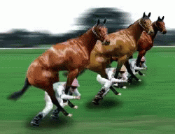 EA98852A-50A2-4319-8927-149FC18B0F42.gif