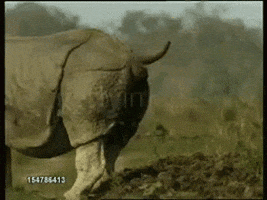 6EB1BAA5-539C-4D7F-BEA0-927A2D05533E.gif