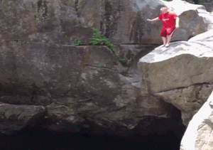 1618219757930.gif