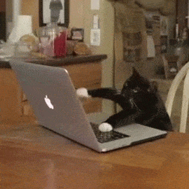 1618221760080.gif