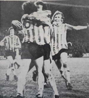 Millwallcelebrations.jpg