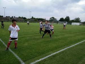 IMG_20150710_195613.jpg