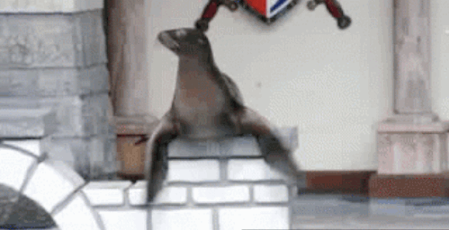 32DCF221-D5B8-45C1-B006-CFB58D557E58.gif