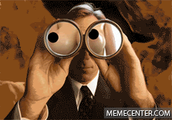 1621007368383.gif
