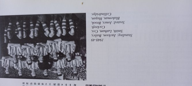 16214427223161446754243857386218.jpg
