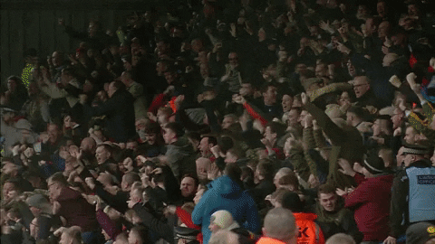 excited fans.gif excited fans.gif