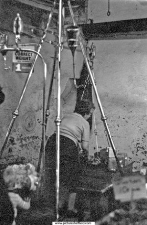 s01948.jpg