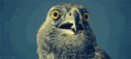 154EA164-B483-4783-A8BC-CD18CBF9763D.gif 154EA164-B483-4783-A8BC-CD18CBF9763D.gif