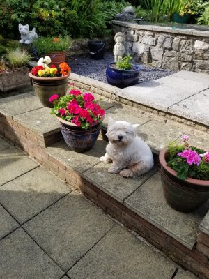 208770638_848161332768891_6066563864012364117_n (2).jpg