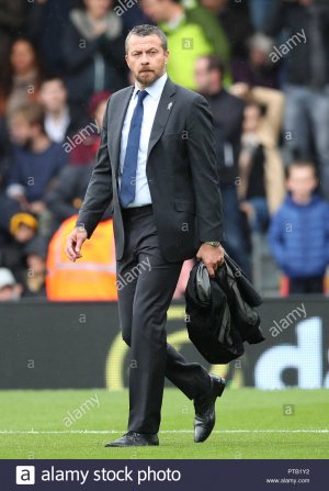 fulham-manager-slavisa-jokanovic-PTB1Y2.jpg