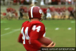 Dz6H.gif Dz6H.gif