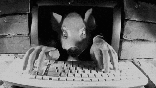 1629638868563.gif 1629638868563.gif