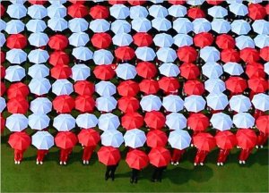 Blades away in the sunshine.jpg