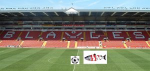 Bramall_lane1.jpg