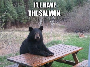 1ee14e45d9a92d3dd494fc0b668b6c5950b21987b076192d077c9f718800dc15.jpg 1ee14e45d9a92d3dd494fc0b668b6c5950b21987b076192d077c9f718800dc15.jpg