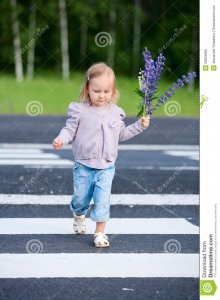 a little pedestrian.jpg