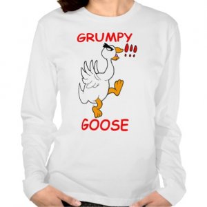 grumpy_goose_t_shirt-r627d5d8395d04364bca3fa418b6f14b9_8nhmk_512.jpg