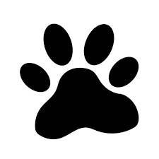1631777799403.png