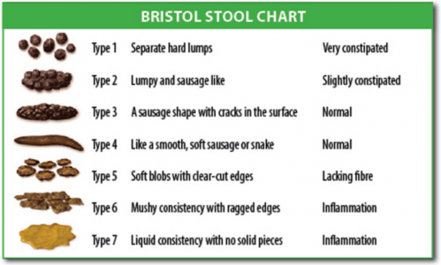 1200px-Bristol_stool_chart.svg.png