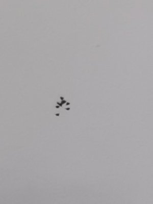 IMG_20211009_164010.jpg