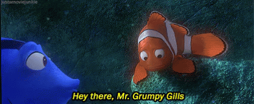 grumpy-mrgrumpygills.gif