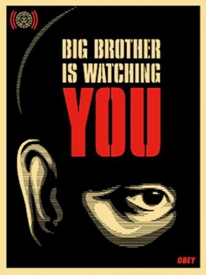 big-brother-is-watching-you-sfa-40-1467125051-300-4da.jpg